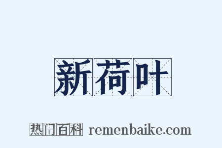 新荷叶是什么意思的图片